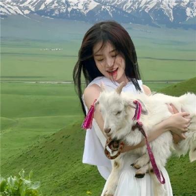 加拉帕戈斯群岛的守护者